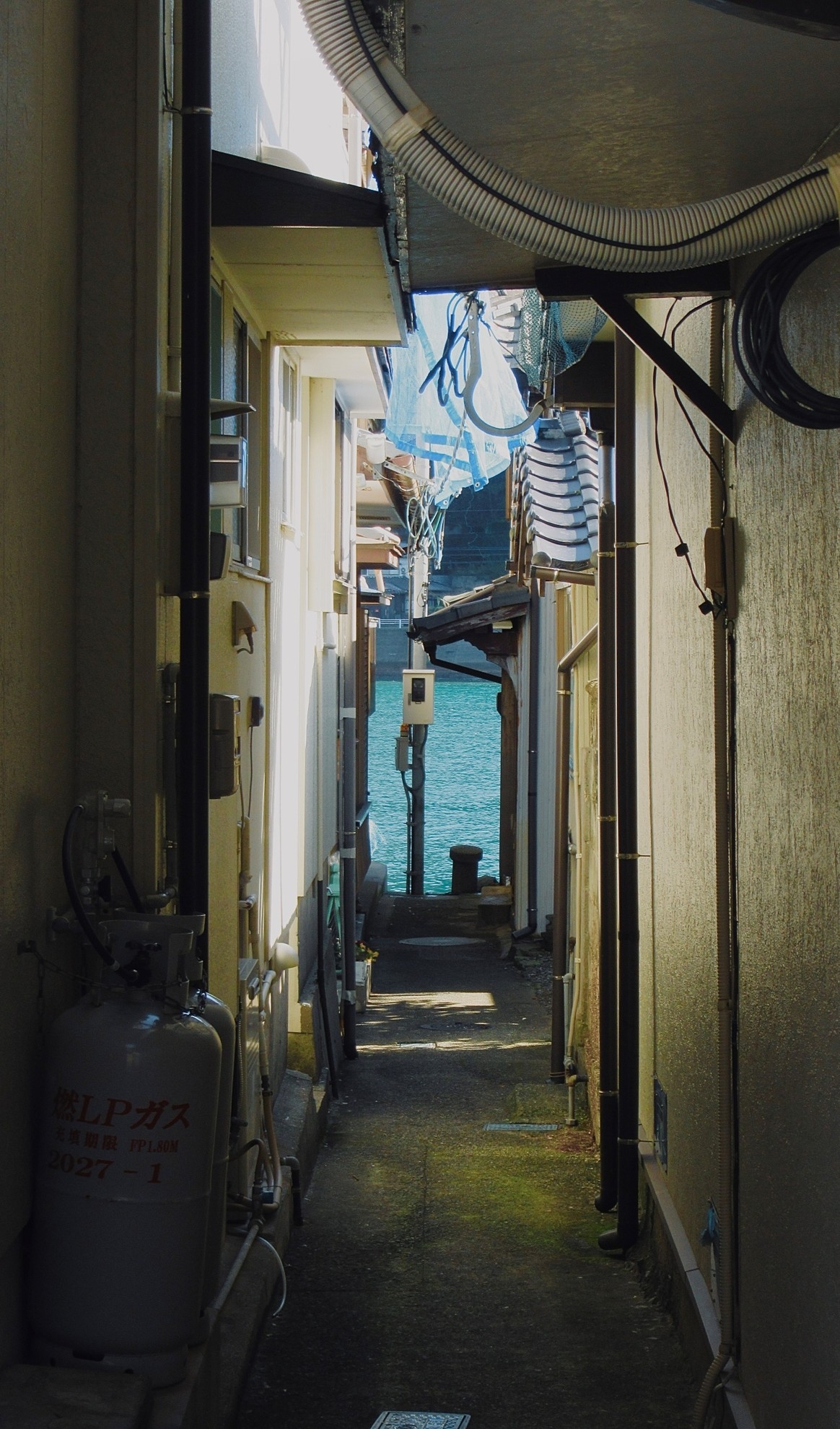Views through a Hidden Path